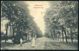 DEBRECEN 1906. Nagyerdei Fasor, Villamos, Régi Képeslap  /  Nagyerdei Alley , Tram,   Vintage Pic. P.card - Hungary