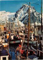 CPM Svolvaer – Fishing Boats In Port NORWAY (779560) - Norwegen