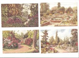 FOUR KEW KEW GARDENS AREA FLOWERS SURREY POSTCARDS - Surrey