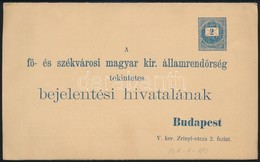 1880 Használatlan Teljes Bejelentési Lap, Ritka Díjjegyes Nyomtatvány! / Unused PS-change Of Address Form - Other & Unclassified