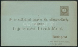 1880 Használatlan Teljes Bejelentési Lap, Ritka Díjjegyes Nyomtatvány! / Unused PS-change Of Address Form - Other & Unclassified