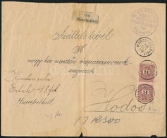 1893 24kr Pár Szállítólevélen / Pair On Parcel Card 'MAROS-VÁSÁRHELY' - Sonstige & Ohne Zuordnung