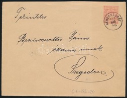 1900 Díjjegyes Levél / PS-cover 'NÉMET SZ:GRÓT' - Szeged - Sonstige & Ohne Zuordnung
