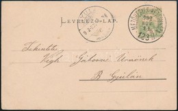1902 Képeslap MEZŐHEGYES-KÉTEGYHÁZA 123 Vasúti Bélyegzéssel / Postcard With Railway Postmark - Sonstige & Ohne Zuordnung