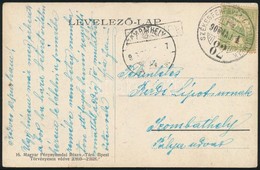 1906 Képeslap SZÉKESFEHÉRVÁR-CZELLDÖMÖLK 82. Vasúti Bélyegzéssel / Postcard With Railway Postmark - Other & Unclassified