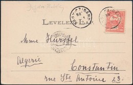 ~1908 Képeslap Algériába / Postcard To Algeria 'NAGY-CZIGÁND' - 'CONSTANTINE' - Sonstige & Ohne Zuordnung