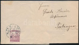 1917 Teljes Címszalag 3f Bérmentesítéssel / Complete Wrapper With 3f Franking 'BUDAPEST' - Tubingen - Other & Unclassified