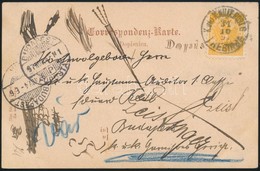 1897 Képes Levelezőlap Budapestre, Majd Továbbküldve / Postcard 'M.P. TREBINJE' To Budapest, Redirected - Autres & Non Classés