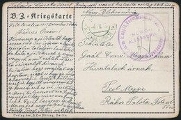 1915 Tábori Posta Képeslap / Field Postcard 'EP NOWO ALEXANDRIA' , '1. Sz. M. Népfk. Vasútbiztosító Osztag Parancsnokság - Autres & Non Classés