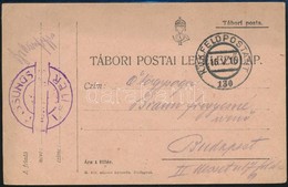 1916 Tábori Posta Levelezőlap / Field Postcard 'FASSUNGS LEITER' + 'FP 130' - Sonstige & Ohne Zuordnung