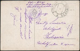 ~1916 Húsvéti Képeslap A Központi Hatalmakat ábrázoló Tojásokkal / Field Postcard 'S.M.Schiff Schwarzenberg' - Other & Unclassified
