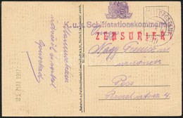 1917 Tábori Posta Képeslap Cenzúrázva / Censored Field Postcard 'K.u.K. Schiffstationskommando' , 'K.u.K. FELDPOSTAMT 29 - Andere & Zonder Classificatie