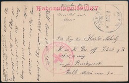1915 Tábori Képeslap / Field Postcard 'VÖRÖSKERESZT KÓRHÁZ CSENE' + 'Katonai ápolási ügy' - Other & Unclassified