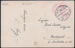 1916 Tábori Posta Képeslap / Field Postcard 'Vöröskereszt Ferenc Salvator Főherceg Otthona' - Other & Unclassified