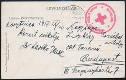 1917 Tábori Képeslap / Field Postcard 'VÖRÖSKERESZT KISEGÍTŐ KÓRHÁZ KORYTNICZÁN' - Sonstige & Ohne Zuordnung