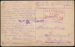 1917 Tábori Képeslap Járványkórházból Küldve / Field Postcard 'K.u.k. EPIDEMIESPITAL IN BRSADIN' - Sonstige & Ohne Zuordnung