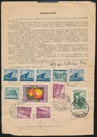1953-1957 Meghatalmazás Teljes Nyomtatvány 11 Bélyeges Hátoldali Lerovással / Authorisation Form With 11 Stamps - Other & Unclassified