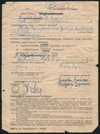 1959 Meghatalmazás, 1965-ig érvényesítve / Authorisation, Validated Until 1965 - Autres & Non Classés