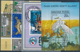 O 1980-1981 3 Klf Európa Témájú Vágott Blokk (16.500) / 3 Different Imperforate Blocks - Other & Unclassified