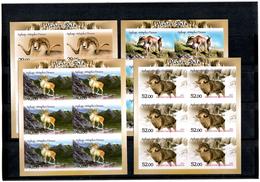 Kyrgyzstan.2013 Argali (Mountain Sheep). Imperf 4 Sheets Of 6. Michel # 744-47 B  KB - Kirghizistan