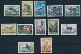 ** 1956 Állatok Sor Mi 1565-1576 - Other & Unclassified