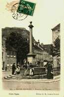 39...salin Les Bains....fontaine Des Cygnes - Andere & Zonder Classificatie