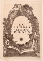 Gara Arnold (1882-1929): Ex Libris Rosa Braun. Rézkarc, Papír, Jelzett A Karcon, 14×10 Cm - Autres & Non Classés