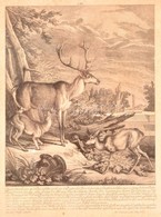 1768 Martin Elias Ridinger (1730-1781): 'Dieser Hirsch Von 14 Enden,...', Szarvasok, Rézmetszet, Papír, üvegezett Fa Ker - Estampes & Gravures