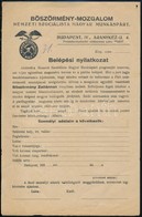 Cca 1930 Nemzetiszocialista Magyar Munkáspárt Böszörmény-mozgalmának Kitöltetlen Belépési Nyilatkozata - Non Classificati