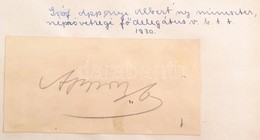 Cca 1930 Autogramm Album 8 Db Aláírással: Gr. Apponyi Albert, Magyar Mannheimer Gusztáv Festőművész, Szép Ernő, Móra Fer - Sonstige & Ohne Zuordnung