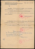 1945 Az Osztrák Vöröskereszt Utazási Igazolványa Volt Mauthauseni Fogoly Részére - Scoutismo