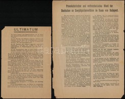 1944 Az Ukrán Hadseregcsoport Parancsnoka által Kiadott Ultimátum A Budapest Körzetében Körülzárt Német és Magyar Csapat - Other & Unclassified