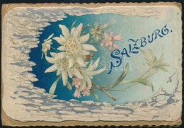 Cca 1890 Salzburg 20 Képet Tartalmazó Litografált Leporello Dombor Litografált Címlappal. / 20 Litho Images Leporello 13 - Non Classificati