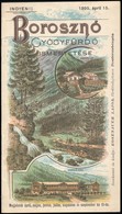 1895 Borosznó (Felvidék) Gyógyfürdő Ismertetése, Színes Litografált Címlappal és Hátsó Borítóval, Szép állapotban, 16p - Non Classés