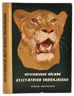 Kittenberger Kálmán: Kelet-Afrika Vadonjaiban. Bp., 1955, Ifjúsági Könyvkiadó. Első Kiadás. Kiadói Félvászon-kötés, Kis  - Unclassified