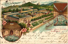 * T3 1901 Budapest II. Császár Fürdő, Belső. Art Nouveau, Floral, Litho (Rb) - Ohne Zuordnung