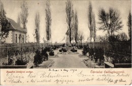 T2/T3 1906 Budapest III. Csillaghegy, Erzsébet  Királyné Szobor és Park. Csiha Béla Kiadása  (kis Szakdás / Small Tear) - Unclassified