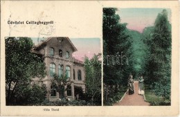 T2/T3 1918 Budapest III. Csillaghegy, Villa Thold, Park Részlet - Unclassified