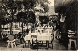 T2/T3 1913 Vác, Hotel Curia Szálloda Pálma és Babér Kerthelyisége, étterem, Pincérek (EK) - Non Classés