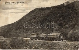 * T2/T3 1913 Magyar-román Határvidék, Hungarian-Romanian Border; Tönkös Vonat. Adler és Fia / Klotz-Zug / Trenul Cu Bust - Unclassified