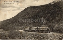 * T2/T3 1913 Magyar-román Határvidék, Hungarian-Romanian Border; Tönkös Vonat. Adler és Fia / Klotz-Zug / Trenul Cu Bust - Ohne Zuordnung