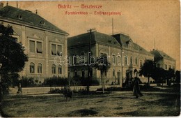 * T2/T3 1907 Beszterce, Bistritz, Bistrita; Forstdirektion / Erdőigazgatóság. W. L. (?) No. 389. Kiadja M. Haupt / Fores - Zonder Classificatie