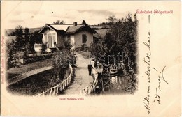 T2/T3 1899 Előpatak, Valcele; Gróf Nemes Villa. Nekő M. Kiadása / Villa (EB) - Non Classés