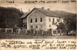 T2/T3 1903 Modor-Harmónia, Modor, Modra; Mühlhaus Villa. Blau Béla Kiadása / Villa - Non Classés