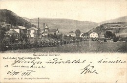 T2/T3 1905 Nagyszabos, Nagyszlabos, Slavosovce; Papírgyár / Paper Factory - Zonder Classificatie