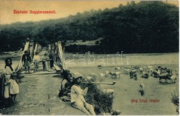 T2/T3 1909 Nagyberezna, Velykyi Bereznyi, Velky Berezny; Híd Az Ung Folyón, Tehenek Itatása. W.L. 2786. / Bridge On The  - Ohne Zuordnung