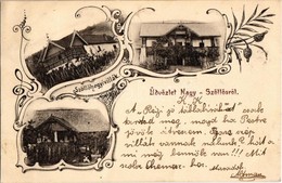 T2 1900 Nagyszőlős, Nagyszőllős, Vynohradiv (Vinohragyiv), Sevlus; Szőlőhegyi Villák, Szőlőskertek, Ervinc Villa / Viney - Ohne Zuordnung