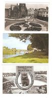 THREE POSTCARDS OF DUMFRIES BRIDGE BLACK CAT HORSESHOE ETC - Dumfriesshire