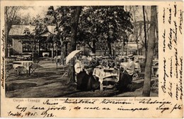 T2 1905 Eszék, Esseg, Osijek; Vrt Restauracije K' Dravskom Mostu / Restaurationsgarten Zur Draubrücke / Kertvendéglő A D - Non Classés