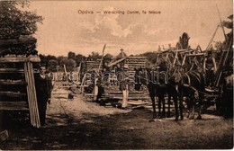 ** T2 Ópáva, Oppova, Opovo; Werschig Dániel Fatelepe és Saját Kiadása, Lovaskocsi / Lumber Yard And Horse Cart - Unclassified